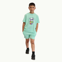 Krazebear-boys-tshirts-cotton-tees-short-set-mint_green-krazer-tiger-age-3-to-8-kids-clothes-australia-_5